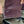 FROST™ SOFTSHELL PANT